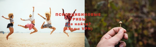 хмурый Кодинск