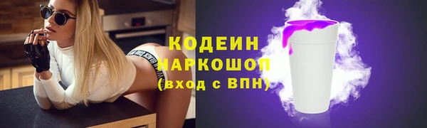 хмурый Кодинск