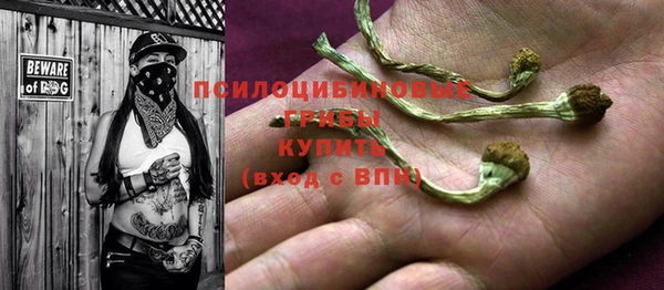 амфетамин Козловка