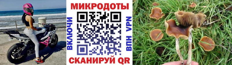 Галлюциногенные грибы Cubensis  Купить  Сосногорск 